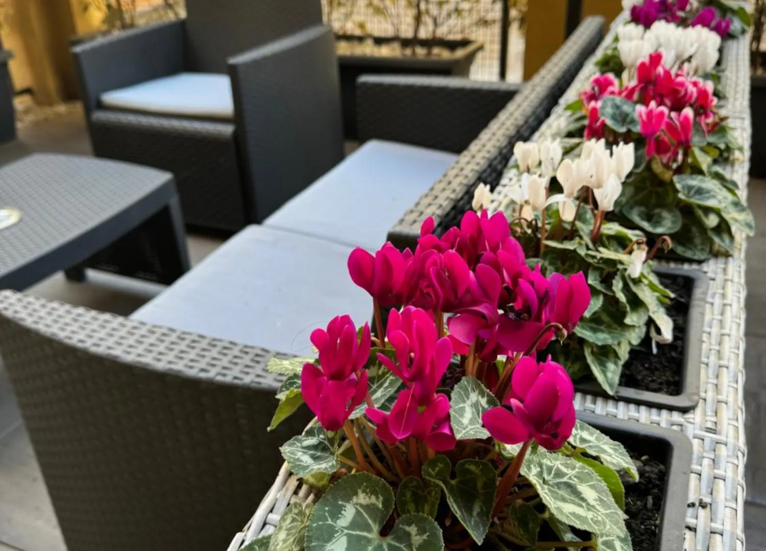 **  Maglo Station Bed & Breakfast Bologna Italy